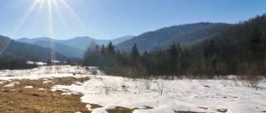 Inview February 2021